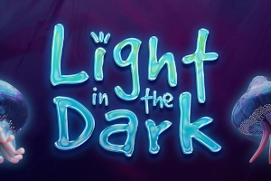 00017 light in the dark