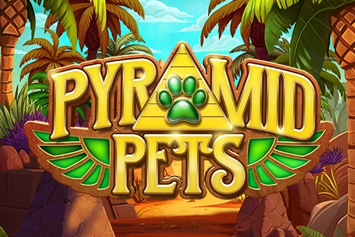 20572 pyramid pets